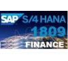 SAP S/4 HANA SIMPLE FINANCE 1809 BUY 1 GET 2 FREE